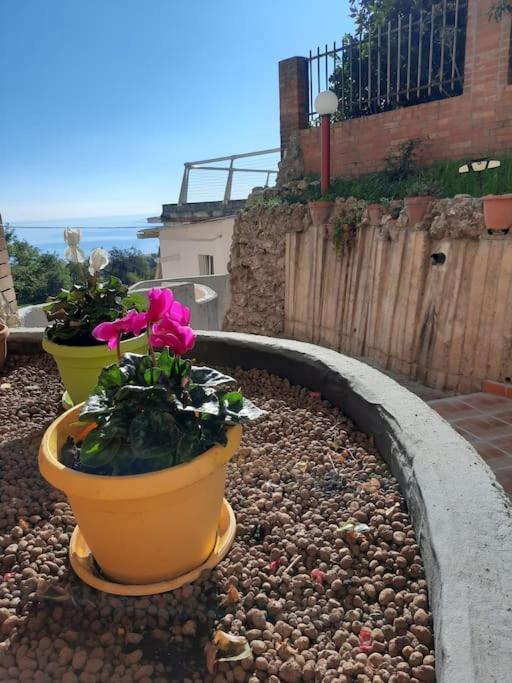 Torre Del Meridiano Casa Vacanze Centrale Termoli Eksteriør bilde